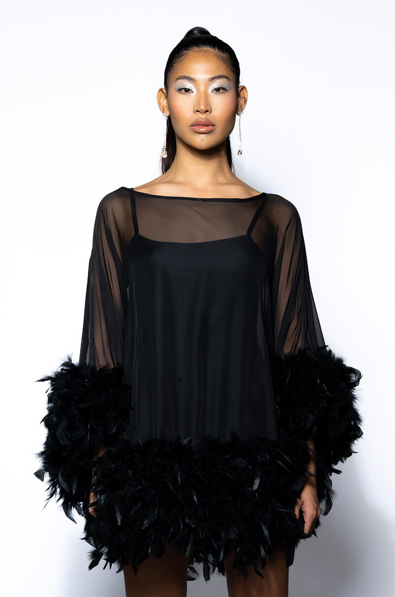 THAT VA VA VOOM LONG SLEEVE SHEER TRAPEZE DRESS