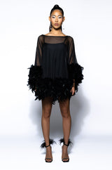 THAT VA VA VOOM LONG SLEEVE SHEER TRAPEZE DRESS