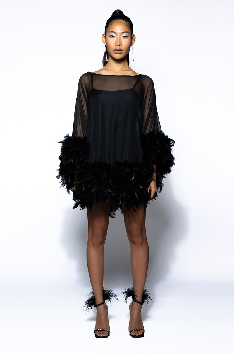THAT VA VA VOOM LONG SLEEVE SHEER TRAPEZE DRESS