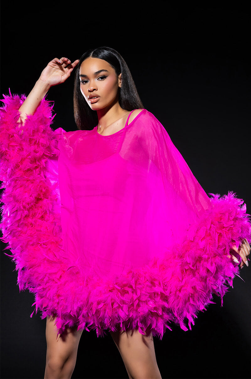 THAT VA VA VOOM LONG SLEEVE SHEER TRAPEZE DRESS