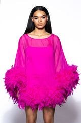 THAT VA VA VOOM LONG SLEEVE SHEER TRAPEZE DRESS