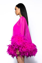 THAT VA VA VOOM LONG SLEEVE SHEER TRAPEZE DRESS