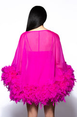 THAT VA VA VOOM LONG SLEEVE SHEER TRAPEZE DRESS