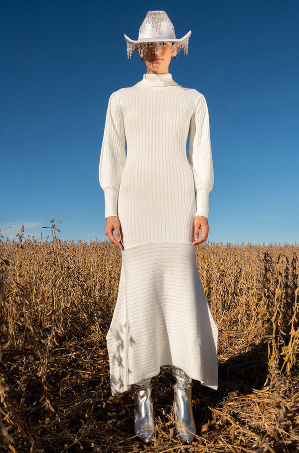 TOPAZ LONG SLEEVE TURTLENECK SWEATER DRESS