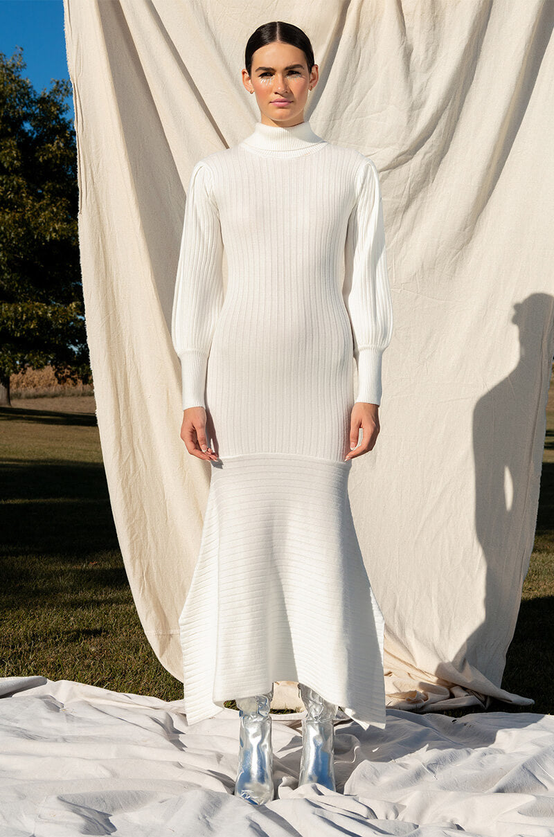 TOPAZ LONG SLEEVE TURTLENECK SWEATER DRESS