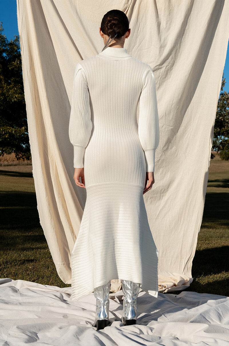 TOPAZ LONG SLEEVE TURTLENECK SWEATER DRESS