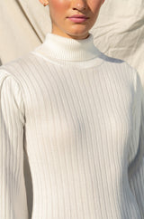 TOPAZ LONG SLEEVE TURTLENECK SWEATER DRESS