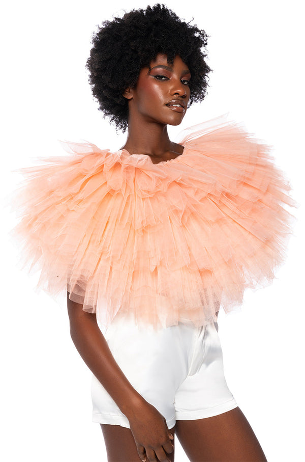 TURNING HEADS TEXTURED TULLE TOP